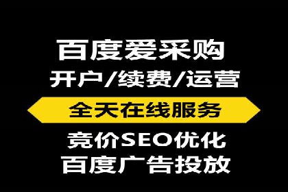 SEM推广实战：成功案例剖析